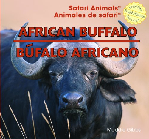 Imagen de archivo de African Buffalo / Búfalo Africano a la venta por ThriftBooks-Dallas