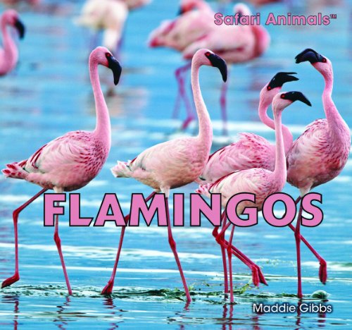 Imagen de archivo de Flamingos a la venta por Better World Books
