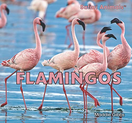 Beispielbild fr Flamingos zum Verkauf von Better World Books