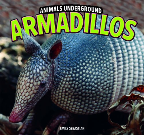 9781448849512: Armadillos (Animals Underground)