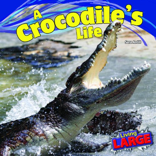 Beispielbild fr A Crocodile's Life zum Verkauf von Better World Books