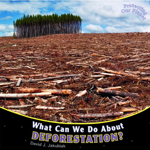 9781448849864: What Can We Do About Deforestation? (Protecting Our Planet)