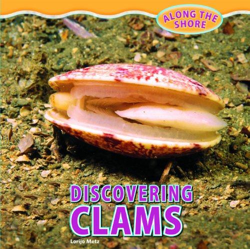 Beispielbild fr Discovering Clams zum Verkauf von Better World Books: West