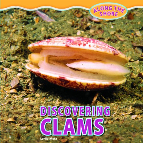 Stock image for Discovering Clams for sale by Better World Books: West
