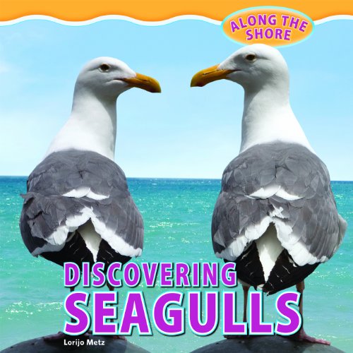 Imagen de archivo de Discovering Seagulls a la venta por Better World Books