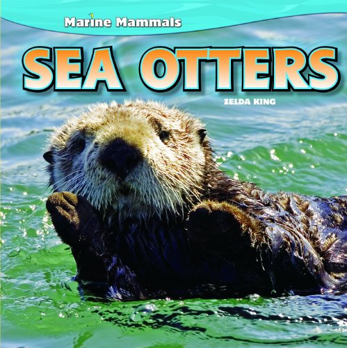 Stock image for Sea Otters for sale by ThriftBooks-Atlanta