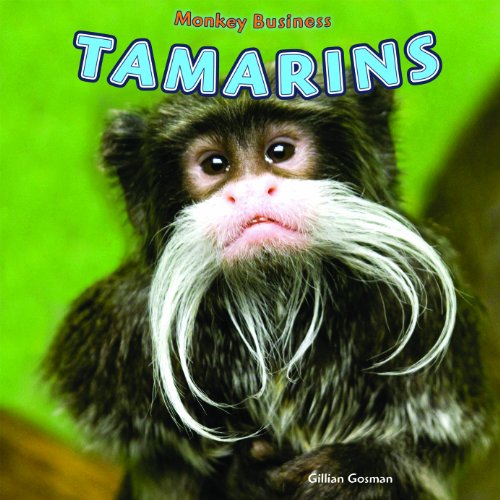9781448850211: Tamarins (Monkey Business)