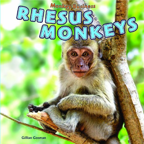 Beispielbild fr Rhesus Monkeys zum Verkauf von Better World Books