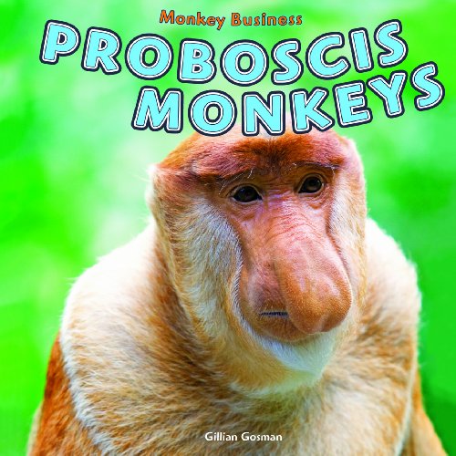 Beispielbild fr Proboscis Monkeys zum Verkauf von Better World Books