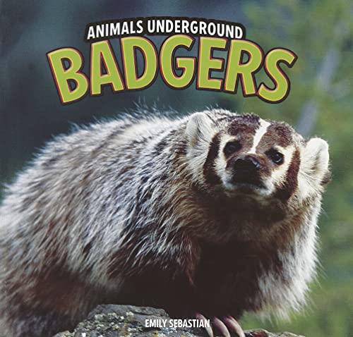 9781448850600: Badgers (Animals Underground)
