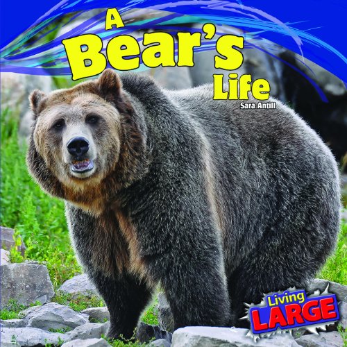9781448851010: A Bear's Life (Living Large)