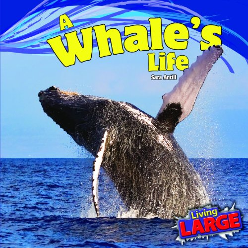 Beispielbild fr A Whale's Life zum Verkauf von ThriftBooks-Atlanta