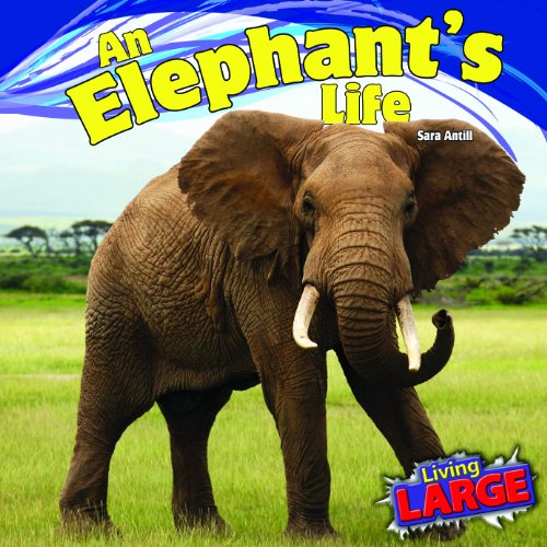 Beispielbild fr An Elephant's Life (Living Large) zum Verkauf von Irish Booksellers