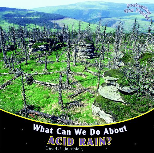 Imagen de archivo de What Can We Do about Acid Rain? a la venta por Better World Books