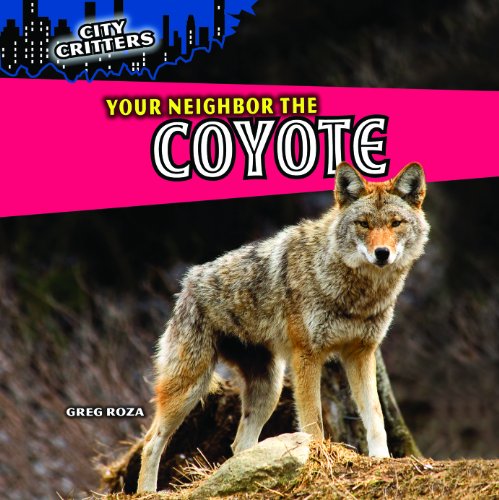 9781448851317: Your Neighbor the Coyote (City Critters)