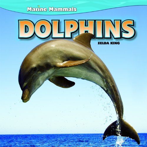 Beispielbild fr Dolphins zum Verkauf von ThriftBooks-Atlanta