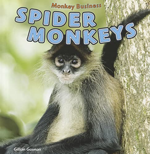 9781448851737: Spider Monkeys (Monkey Business)