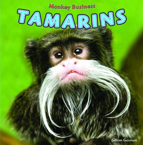 9781448851751: Tamarins (Monkey Business)