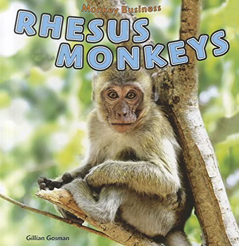 9781448851812: Rhesus Monkeys (Monkey Business)