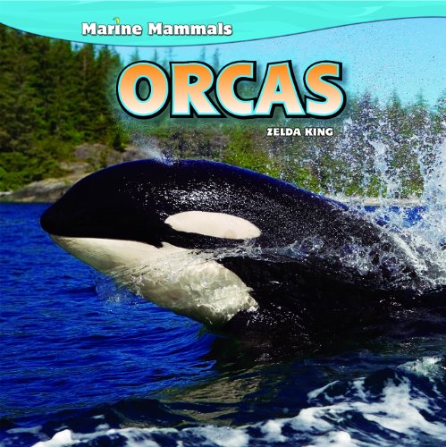 Beispielbild fr Orcas (Marine Mammals, 6) zum Verkauf von SecondSale