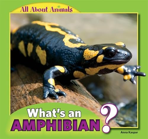 Beispielbild fr What's an Amphibian? (All about Animals) zum Verkauf von WeBuyBooks
