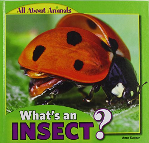 Stock image for What's an Insect? for sale by Better World Books