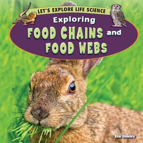 Imagen de archivo de Exploring Food Chains and Food Webs (Let's Explore Life Science) a la venta por Booksavers of MD