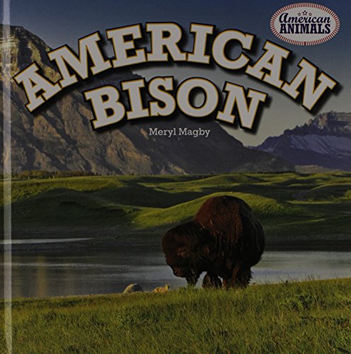 Stock image for American Bison for sale by ThriftBooks-Atlanta