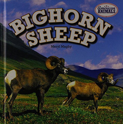 Stock image for Bighorn Sheep for sale by ThriftBooks-Atlanta