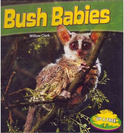 Beispielbild fr Bush Babies zum Verkauf von Better World Books