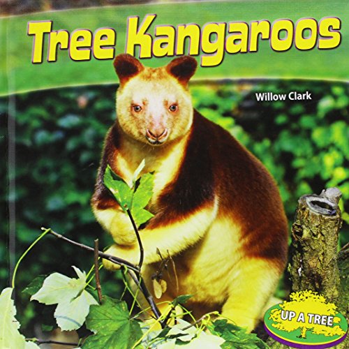 Beispielbild fr Tree Kangaroos zum Verkauf von Better World Books