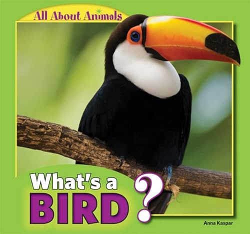 Beispielbild fr What's a Bird? zum Verkauf von Blackwell's