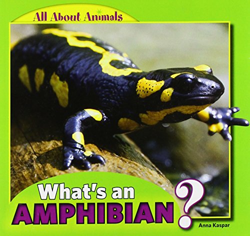 Stock image for What's an Amphibian? (All About Animals) for sale by Books Unplugged