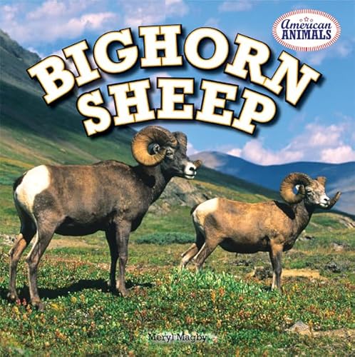 Stock image for Bighorn Sheep for sale by Better World Books