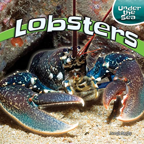 Stock image for Lobsters for sale by ThriftBooks-Dallas