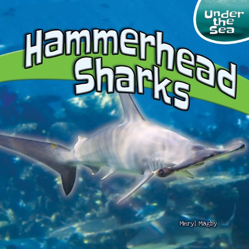 Stock image for Hammerhead Sharks for sale by Better World Books