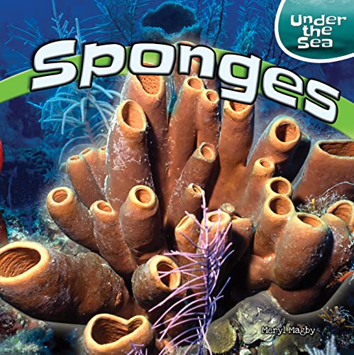 Stock image for Sponges for sale by Better World Books