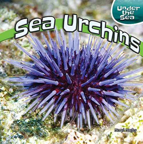 9781448874002: Sea Urchins