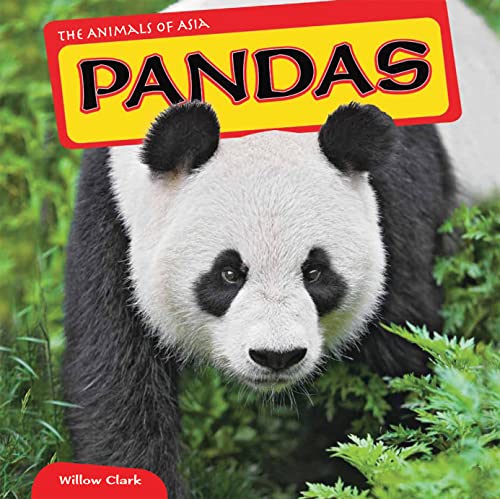 9781448874149: PANDAS (The Animals of Asia)