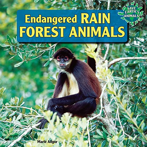 Stock image for Endangered Rain Forest Animals for sale by Better World Books