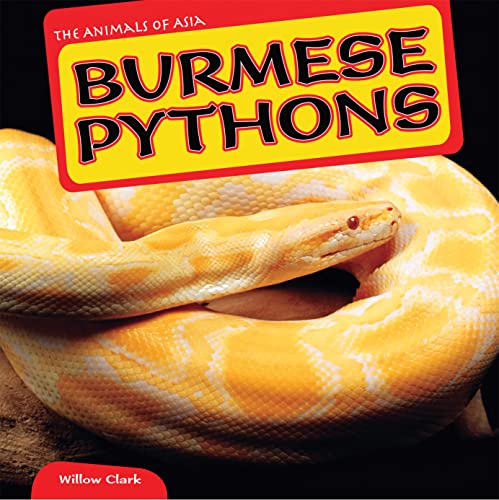 Imagen de archivo de Burmese Pythons a la venta por ThriftBooks-Atlanta