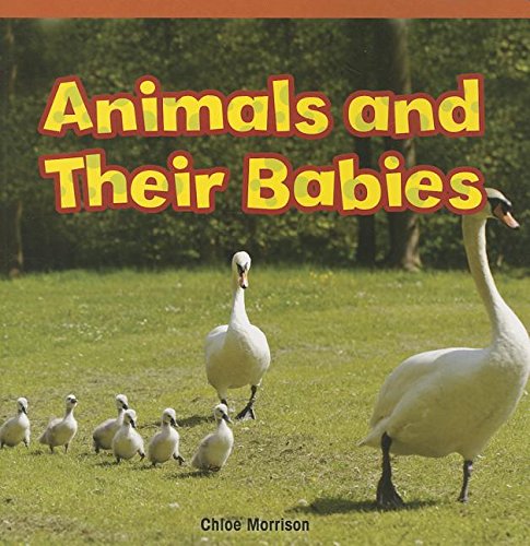 Beispielbild fr Animals and Their Babies (Rosen Common Core Readers) zum Verkauf von Reliant Bookstore