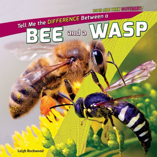 9781448896394: Tell Me the Difference Between a Bee and a Wasp (How Are They Different?)