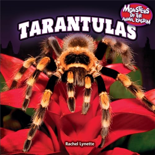 Tarantulas (Monsters of the Animal Kingdom) (9781448897209) by Lynette, Rachel
