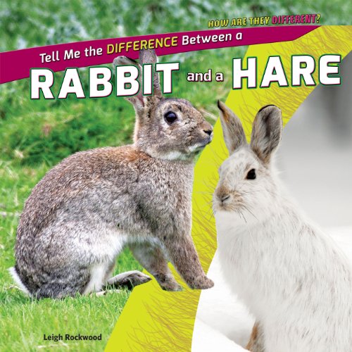 Imagen de archivo de Tell Me the Difference Between a Rabbit and a Hare a la venta por Better World Books