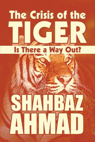 Beispielbild fr The Crisis of the Tiger: Is There a Way Out? zum Verkauf von Revaluation Books