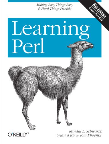 Imagen de archivo de Learning Perl a la venta por SecondSale