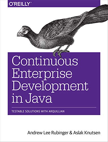 Beispielbild fr Continuous Enterprise Development in Java zum Verkauf von medimops