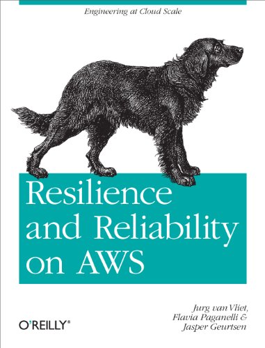 Imagen de archivo de Resilience and Reliability on AWS: Engineering at Cloud Scale a la venta por ThriftBooks-Dallas