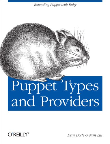 Imagen de archivo de Puppet Types and Providers : Extending Puppet with Ruby a la venta por Better World Books